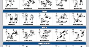 Dumbbell Workouts – Your 3 Best Options