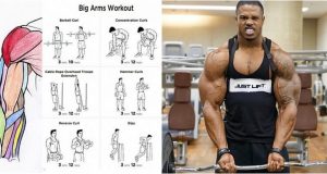 Big Biceps – Steps to Bigger Arms