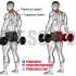 Benefits and Kinds of Dumbbell Shrugs