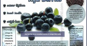 Can Acai Berry Help Build Muscle?