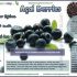 Can Acai Berry Help Build Muscle?